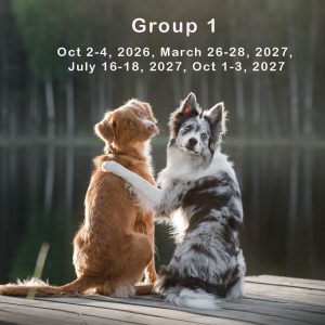 Yearlong Journey Group 1
