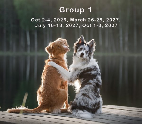 Yearlong Journey Group 1 - Image 2
