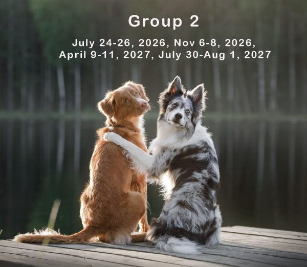 Yearlong Journey Group 2 - Image 2
